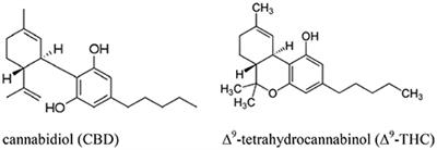 Cannabis in Chinese Medicine: Are Some Traditional Indications Referenced in Ancient Literature Related to Cannabinoids?